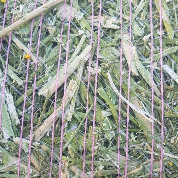 Canola Silage 4x4 Rolls