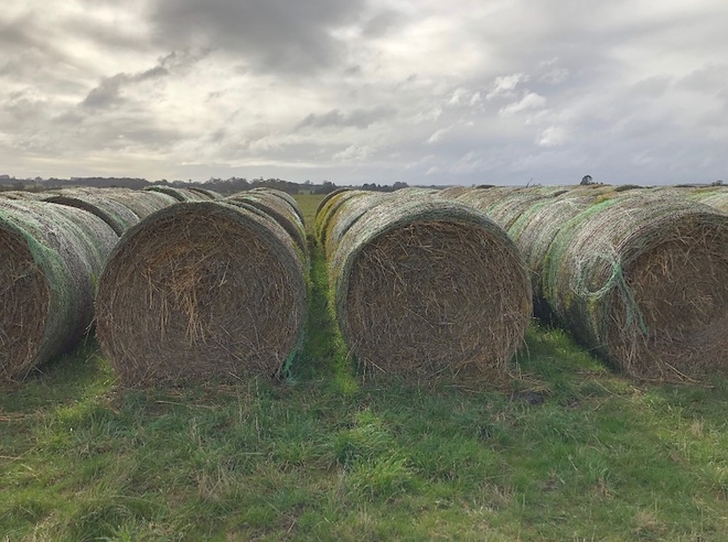 220 x Oaten Hay 5x4 Bales