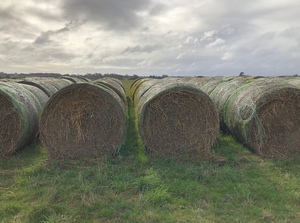 220 x Oaten Hay 5x4 Bales