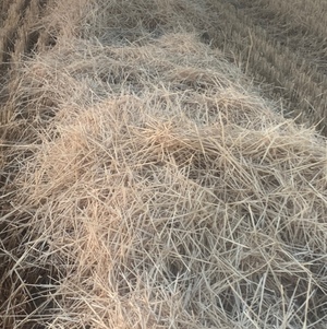 200mt Wheaten Straw 400kg 8x4x3 Bales