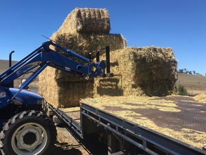 Oaten Hay For Sale in 8x4x3's Delivered Only!!!