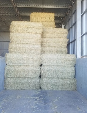 Wheaten & Canola Hay  8x3x4 HD