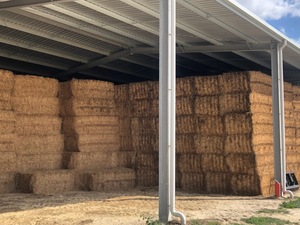 Big Square Lucerne Bales