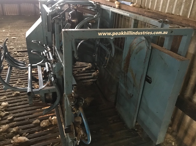 Peak Hill Industries Sheep Handler