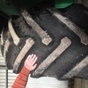 1994 John Deere 9500 Header 