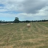 40 x Oaten Hay 5x4 Round Bales