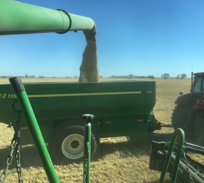 Chaser Bin - 2014 Ez-Tech 19 tonne Chaser bin for sale