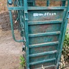 Cattle Crush For Sale