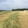 320 x Silage 600kg Round Bales