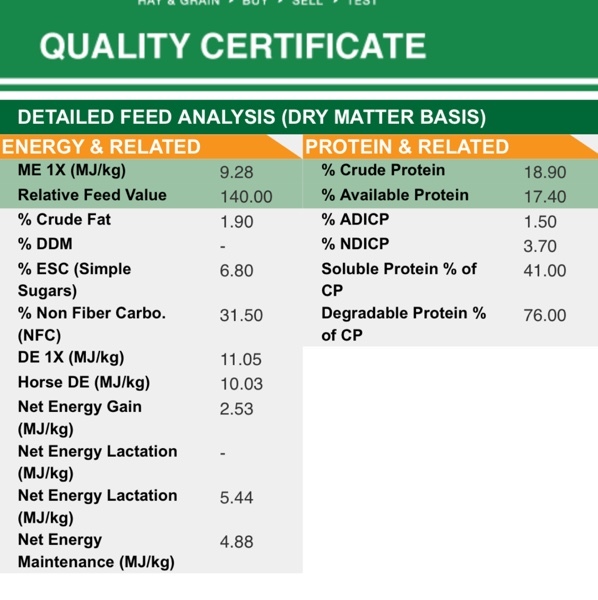 50mt Lucerne Hay 8x4x3 Bales 
