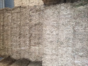 18 Sub Clover Hay 500-550kg 8x4x3 Bales