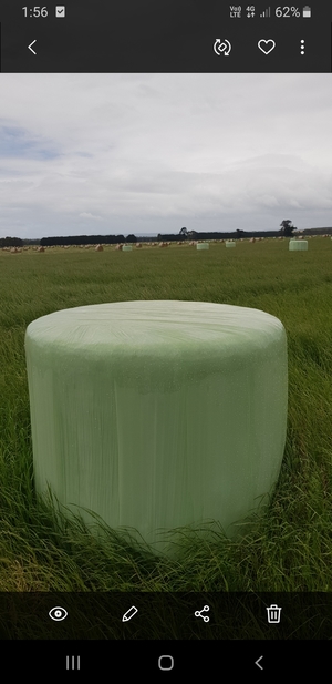 Silage 