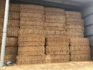 500 x Bales of Vetch Hay 8x4x3 600 Kg's
