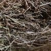 RYE GRASS HAY 8X4X3 SHEDDED