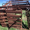Cattle crate