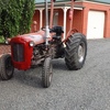 Massey Ferguson 35 3 cylinder Perkins diesel - quick sale.