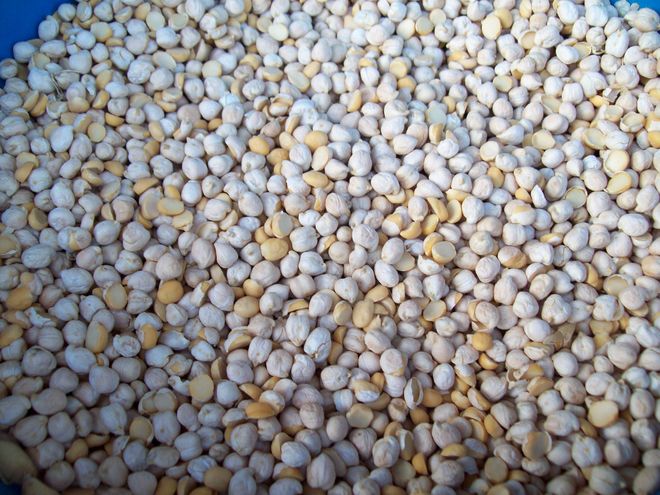 20mt feed kabuli chickpeas 090