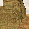 100mt Vetch Hay 8x4x3 Bales @ Sea Lake VIC