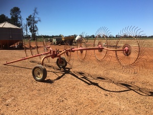 8 Wheel Vicon Rake