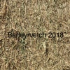 Vetch & Barley Hay