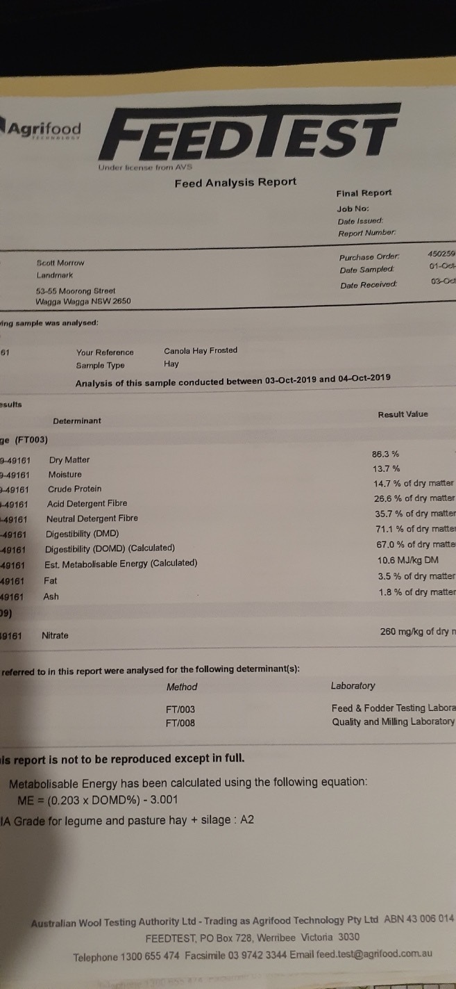 Canola Hay 620kg Bales Approx