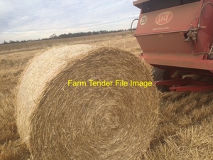 Barley / Oaten Straw Rolls