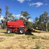 2000 CASE 2388 Header with 36 ft Honeybee Front