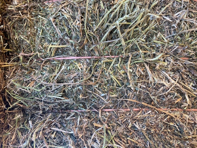500mt New Season Vetch Hay 650kg 8x4x3 Bales