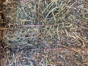 500mt New Season Vetch Hay 650kg 8x4x3 Bales