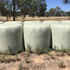 Lucerne Silage