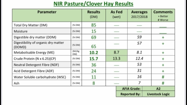 Clover Hay 