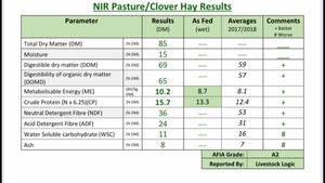 Clover Hay 