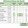 Clover Hay 