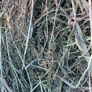 5×4 Vetch/wheaten Hay Round Bales