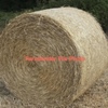 Wheaten Hay 5x4 Bales