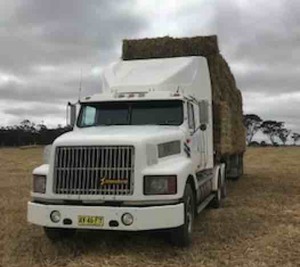 INTERNATIONAL S LINE PRIME MOVER. SERIES 60 12.7 MOTOR. VGC.