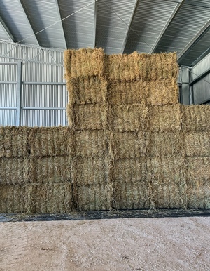 130mt Barley Hay 650kg 8x4x3 Bales (New Season)