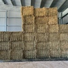 130mt Barley Hay 650kg 8x4x3 Bales (New Season)