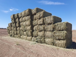 500mt Wheaten Hay 580-600kg 8x4x3 Bales 'New Season'