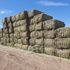 500mt Wheaten Hay 580-600kg 8x4x3 Bales 'New Season'