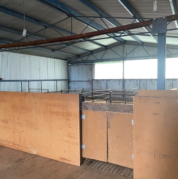 Two Stand Gisborne Shearing Shed