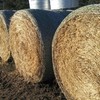 Barley Straw Clearance