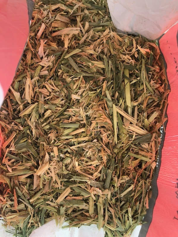 Shedded Barley Hay