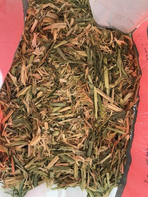 Shedded Barley Hay
