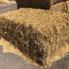 Wheaten Straw 640kg high density 8x4x3 Bales (350)