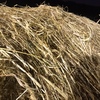 oaten/clover hay