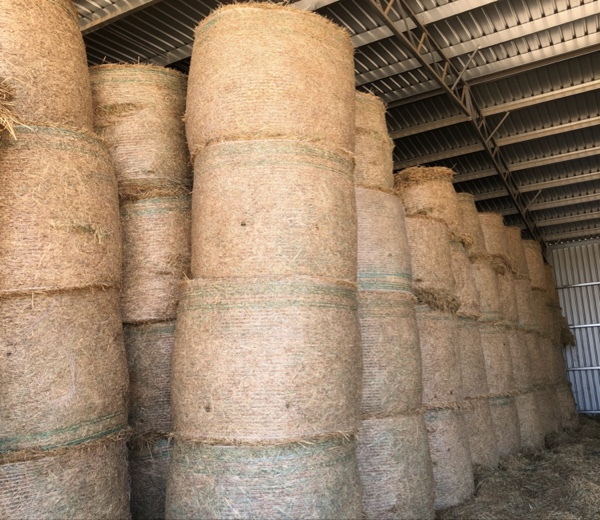 Oaten / Rye / Lucerne Rolls For Sale - Shedded -  New Season
