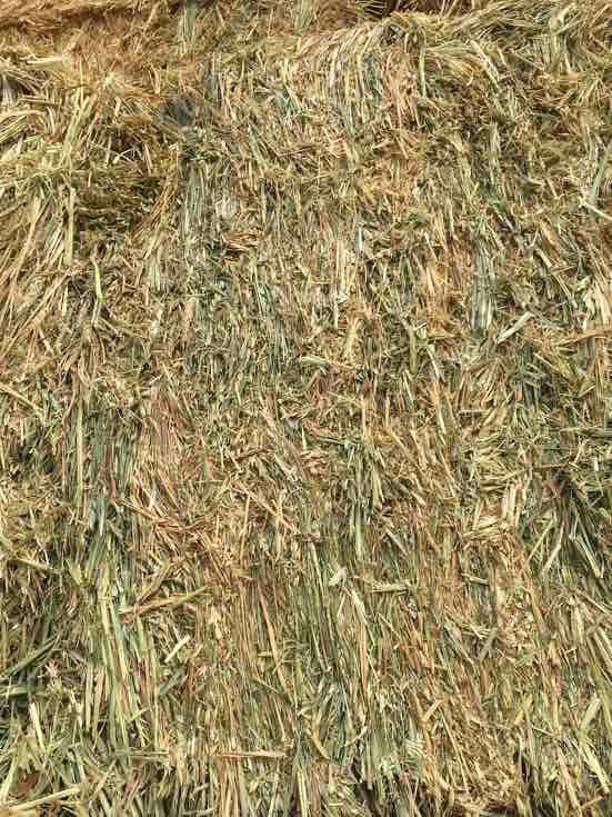 200 m/t Oaten Hay 