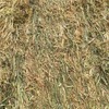 200 m/t Oaten Hay 