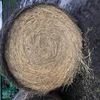 Water Damaged Hay to clear